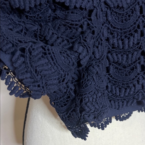 🅿️🌀🩵LOFT Navy Lace Crochet Shorts - Picture 7 of 12